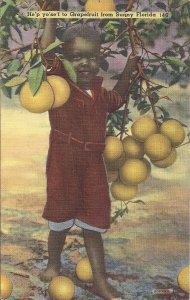 BLACK AMERICANA, Small Child w Grapefruit Tree, 1956 Linen Florida FL, Fruit