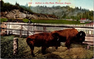 Postcard Buffalo at City Park in Portland, Oregon