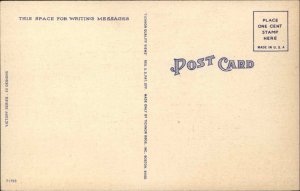 WORLD WAR II WWII Eagle w Fighter Planes & V Keep Em Flying LINEN Postcard