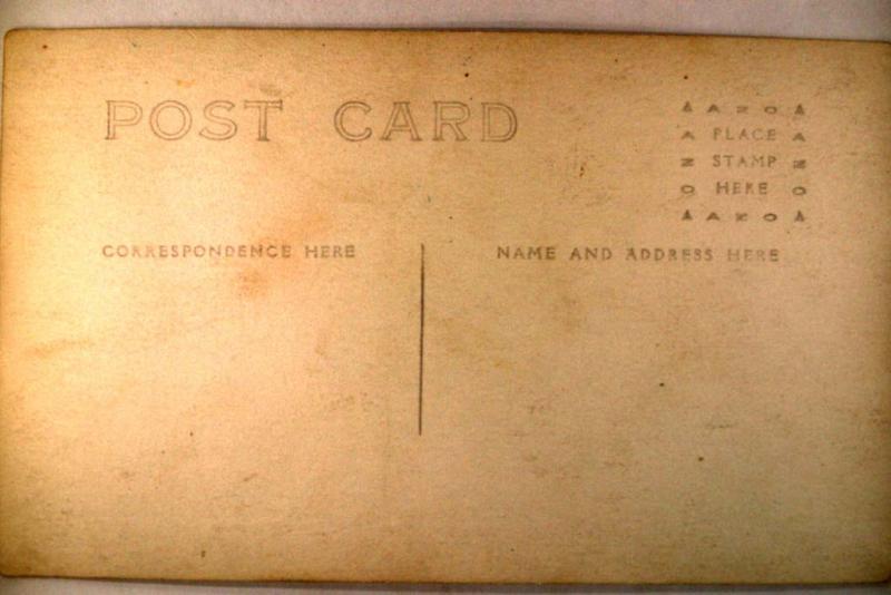 pre-1918 rppc - CATTLE COW WITH LARGE LONG HORNS - postcard v0138