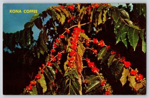 Postcard Hawaii Kona Coffee Berries