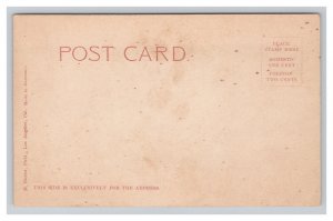 On Dress Parade Children On Donkeys Postcard