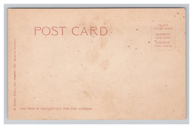 On Dress Parade Children On Donkeys Postcard