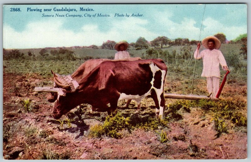 Farmer Plowing Near Guadalajara, Mexico - Postcard 