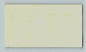 1880's Knights Templar Ascalon Commandery Waterloo, Iowa Fabulous! P153