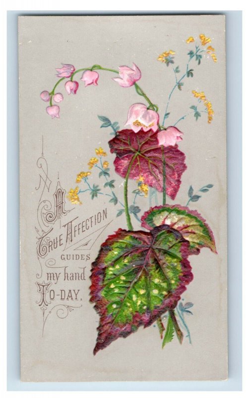 1880s Superb Valentine Heavily Embossed Realistic Plants Flowers 4 Card Set F110