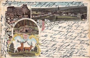 Foreign GERMANY Gruss Aus 1902 BISCHOFSGRAN 4View Deer Homes Spring? 14