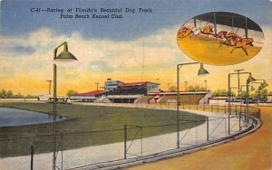 Racing at Florida's Beautiful Dog Track  