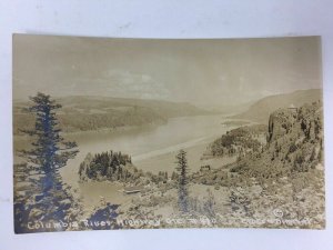 Columbia River Highway Real Photo Postcard RPPC Cross Dimmitt AZO