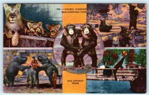 SAN ANTONIO, Texas TX ~ Brackenridge Park ANIMAL KINGDOM Zoo c1940s   Postcard