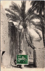 Algeria Scenes Et Types Une Rue Dans Un Village de l'Extreme Sud Postcard C153