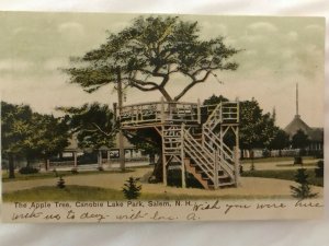 Vintage Postcard 1907 The Apple Tree Canobie Lake Salem New Hampshire NH