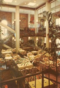 Houston, TX Texas  ST JAMES RESTAURANT~San Felipe Green  INTERIOR  4X6 Postcard