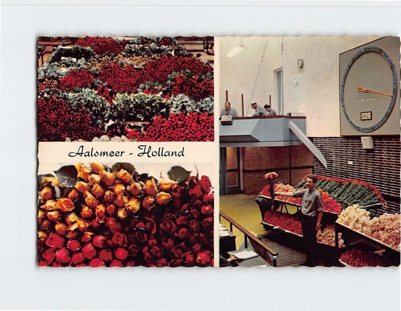 Postcard Interior flower auction, Aalsmeer, Netherlands