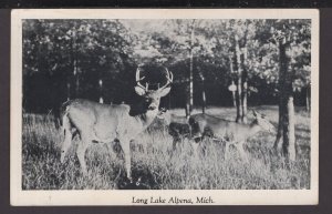 Michigan Alpena - Long Lake Deer in a field - RPPC pm1946