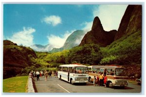 c1950's Maui's Iao Needle Maui Island Tours Busses Hawaii HI Vintage Postcard