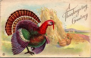 Vintage Postcard Thanksgiving Stecher Turkey Pumpkins & Corn Piles 1920 R2