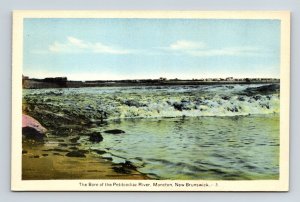 Moncton New Brunswick Canada Petitcodiac River Scenic WB Landscape Postcard 