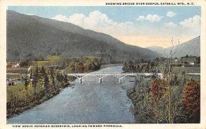 Ashokan Reservoirview towards Phoenicia