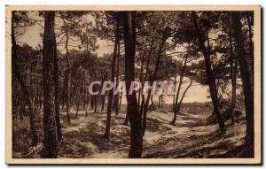 Old Postcard La Tranche sur Mer (Vendee) La Foret