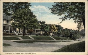 Greenspring Ohio OH Street Scene Cottages 1910s-30s Postcard