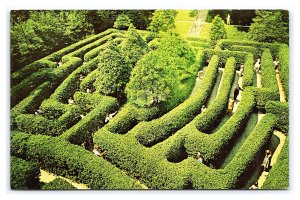 The Governor's Palace Maze Williamsburg Virginia Postcard