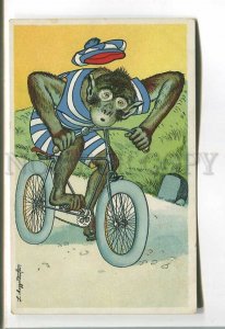 485578 Meggendorfer dressed monkey rides a bicycle lithographic Vintage postcard