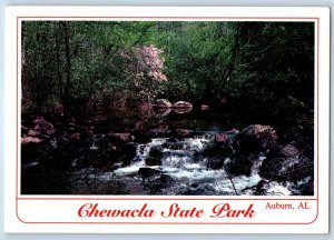1960 Auburn Alabama AL Vintage Postcard Chewacla State Park Azaleas Springtime