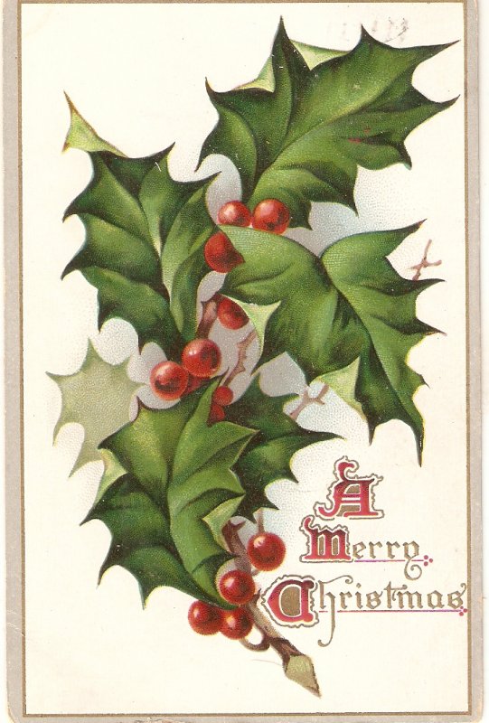 Holly leaves. ChristmasMessage Tuck Christmas Greetings PC # 500