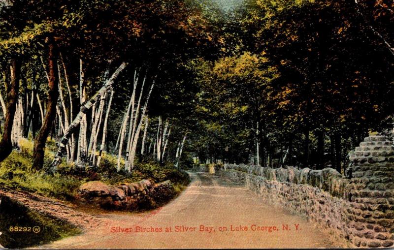 New York Lake George Silver Birches At Silver Bay 1915