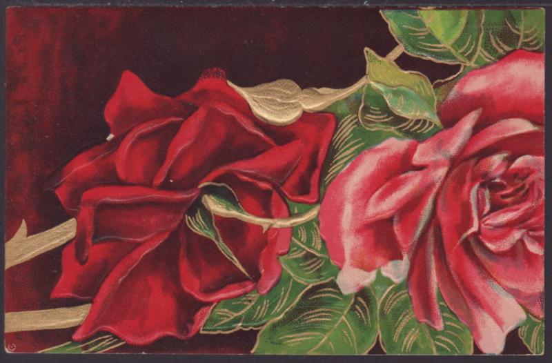 Roses Postcard