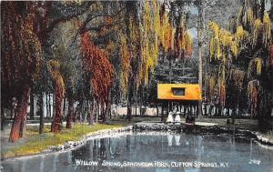 CLIFTON SPRINGS NY WILLOW SPRING SANITARIUM PARK POSTCARD c1910s