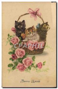 Old Postcard Cat Kitten Cats