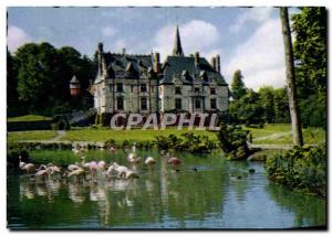 Postcard Modern Park Zologique Cleres From Le Chateau And The Zoo Flamingos R...