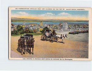 Postcard Horse-Drawn Vehicles on Top of Mount Royal Montreal Canada