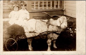 Darling Children in Sheep Cart c1910 RPPC Postcard A29