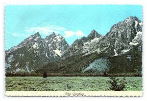 Teton Grandeur Jenny Lake Road Wyoming Continental View Postcard