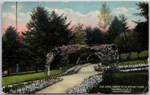 1915 Rose Arbor In McKinley Park Tacoma Washington WA Landscape Posted Postcard