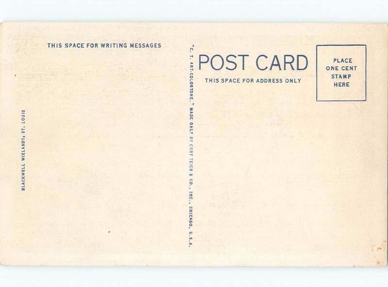 Unused W-Border MUNICIPAL OPERA St. Louis Missouri MO E8215