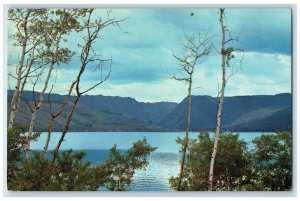 c1960's New Fork Lake in Bridger National Forest Pinedale Wyoming WY Postcard