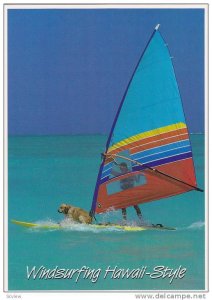 Dog Windsurfing , Wawaii Style , 1985