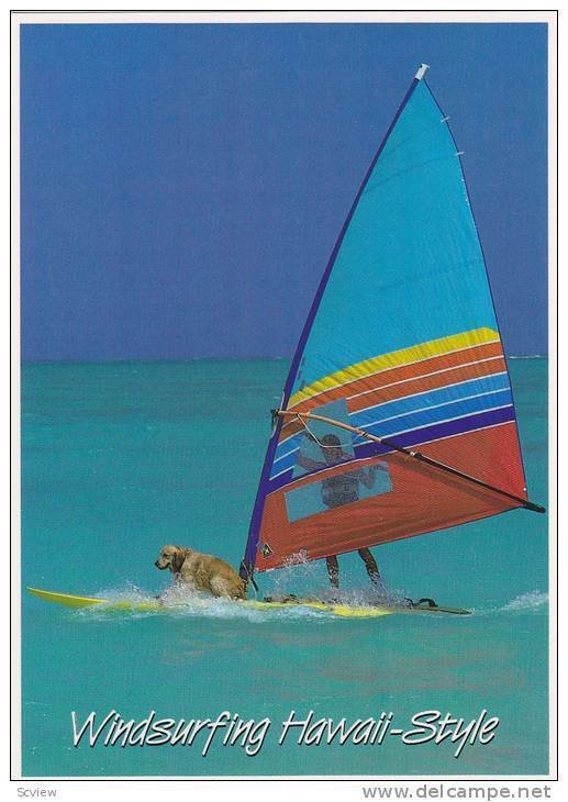 Dog Windsurfing , Wawaii Style , 1985