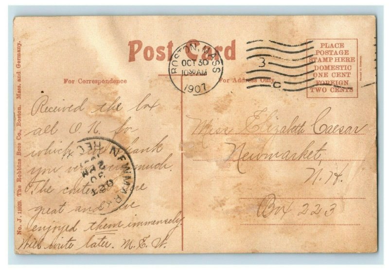 C.1907 Spot Pond, Middlesex Fells, Mass. Postcard P175 