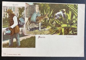 Mint Mexico Color Picture Postcard Tlachiquero