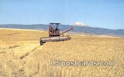 Wheat Combine in Field - Mt Hood, Oregon