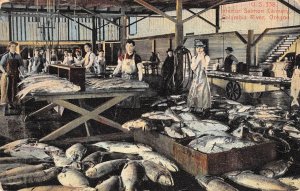 Interior Salmon Cannery, Columbia River, Oregon Fish 1910 Vintage Postcard