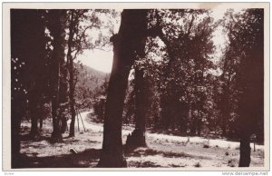 RP: Ifrane , Morocco , 20-30s ; Route d'Azrou