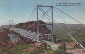 North Carolina Grandfather Mountain Mile High Swinging Bridge