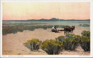 Arizona Afterglow F.Lungren Vintage Postcard C226