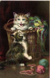 PC CATS, FOUR CATS PLAYING WITH COLORFUL THREADS, Vintage Postcard (b47105)